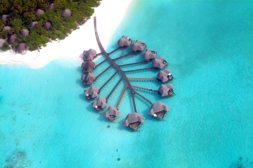 Coco Palm Dhuni Kolhu - 20 percent off roundtrip Seaplane for stays from 1 May to 30 September 2025 - Best Value Hotels in Maldives