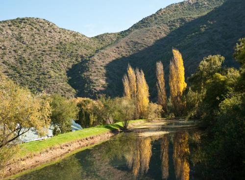 Old Mill Lodge, Seasonal Working Ostrich Farm & Restaurant, Oudtshoorn - Best Family Hotels in South Africa