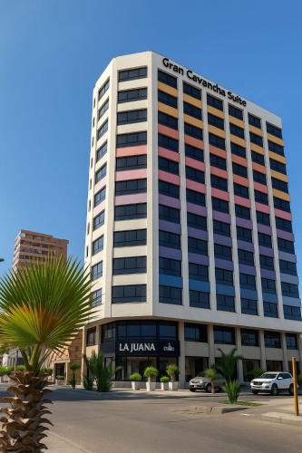 Gran Cavancha Suite - Best Pet-Friendly Hotels in Chile