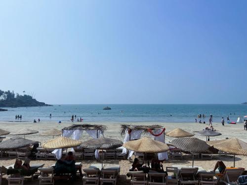 Art Resort Goa - Affordable Hotels in Goa