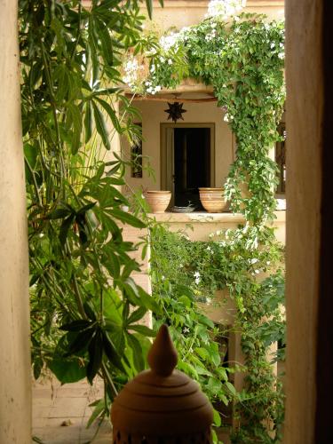 Dar Zahia - Affordable Hotels Morocco