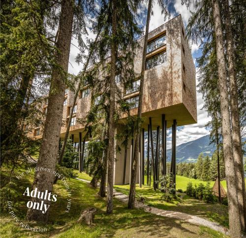 My Arbor - Dolomites - Best Hotels in South Tyrol