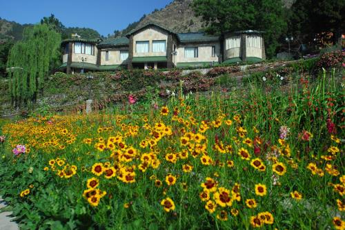 Shervani Hilltop Resort - Best Hotels in Nainital