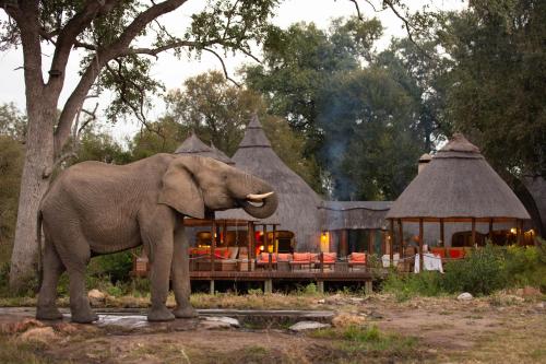 Hoyo Hoyo Safari Lodge - Best Hotels in Mpumalanga