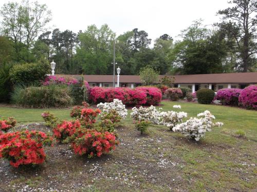 hotels with suites in Wilmington