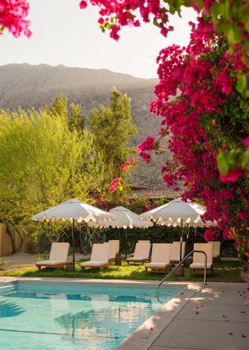 Casa Cody - Pet Friendly Hotels Palm Springs