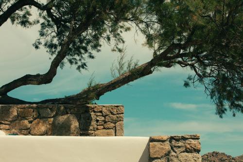 The Wild by Interni - Best Hotels in Mykonos