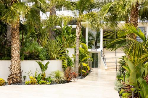 Staybridge Suites - Cannes Centre by IHG - Best Fitness Hotels in Cannes