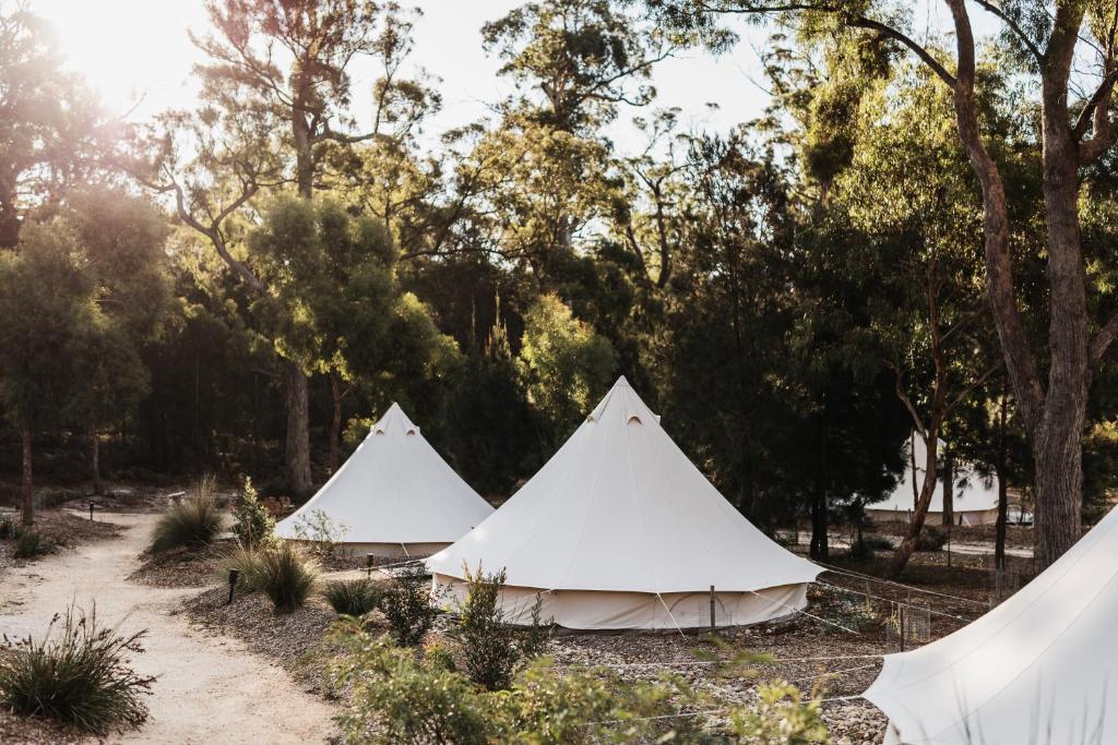 Bay of Fires Bush Retreat - Best Hotels in Tasmania
