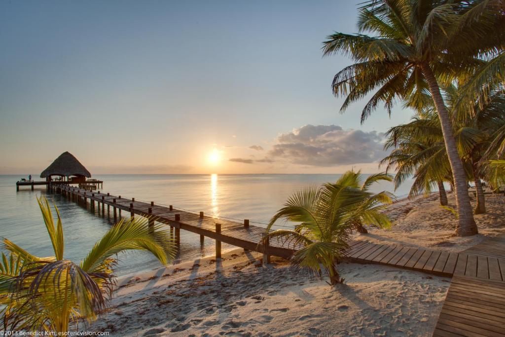 Robert's Grove Beach Resort - Best Hotels in Placencia