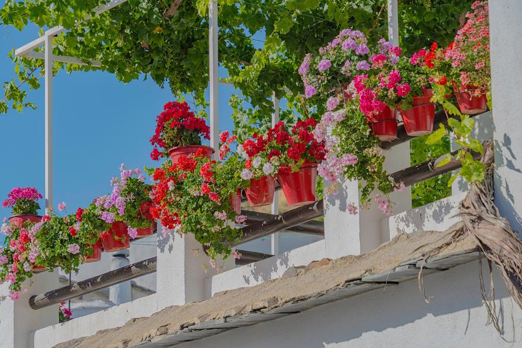 Apartamentos Rurales Las Chimeneas - Best Hotels in Andalucía