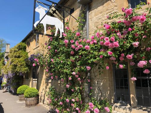 The Lamb Inn - Best Dog Friendly Hotels in The Cotswolds