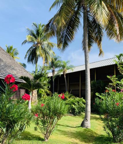 Emerald Beach Resort - Best Pet-Friendly Hotels in U.S. Virgin Islands