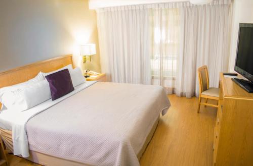 iStay Hotel Monterrey Histórico - Best Pet-Friendly Hotels in Monterrey