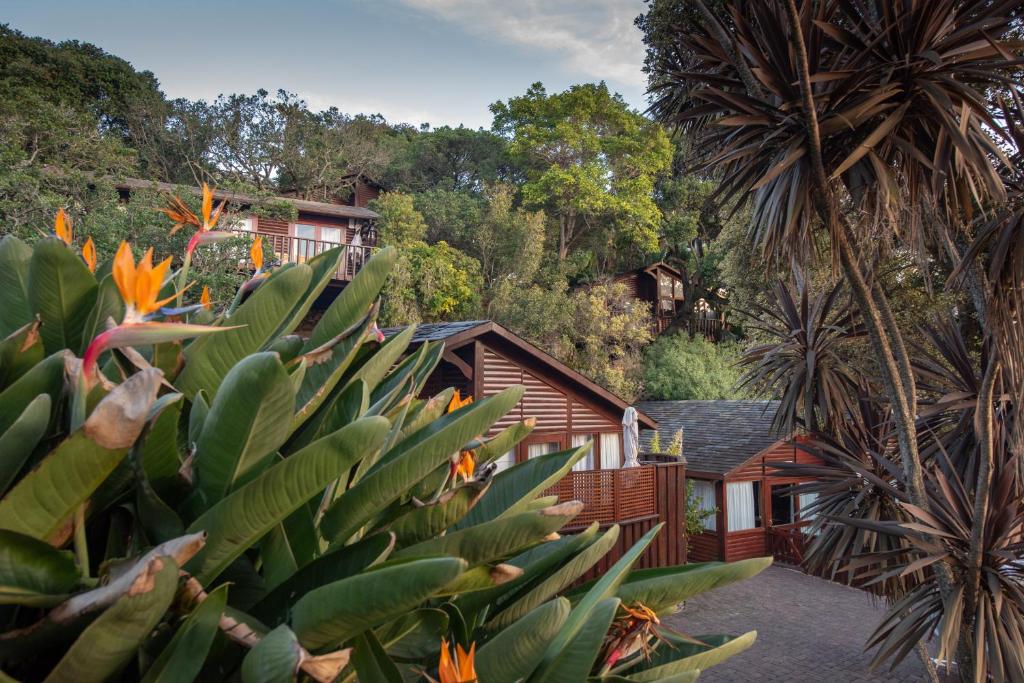 Under Milkwood Resort - Best Hotels in Knysna