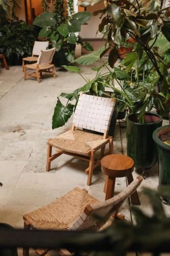 Los Pilares Hotel - Best Parking Hotels in Oaxaca