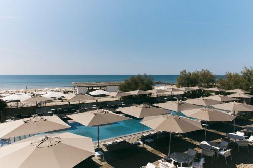 Hôtel Plage Palace & Spa