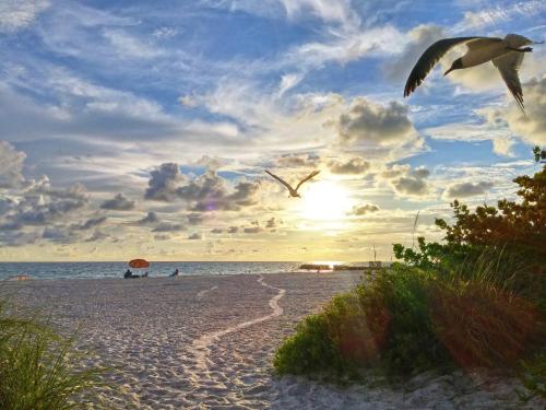 Turtle Crawl Inn - Longboat Key