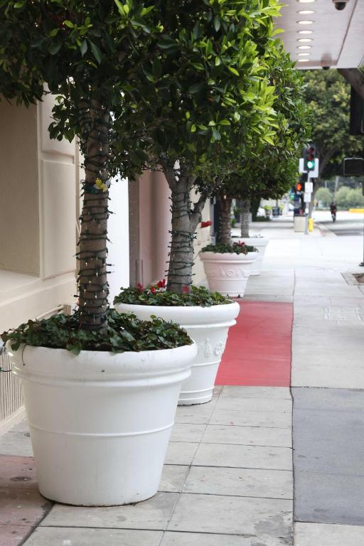 Hotel Carmel Santa Monica - Best Hotels in Santa Monica, CA