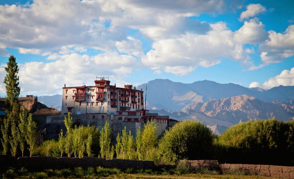 Stok Palace Heritage - Best Palace Hotels in India