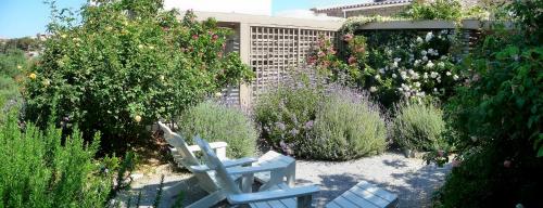 Red Tractor Farm - Best Hotels in the Cyclades