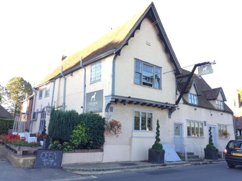 The Dog At Wingham - Best Hotels in Kent