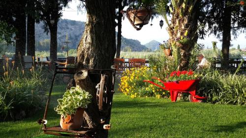 Hotel Happy Caretta - Best Hotels in Dalyan