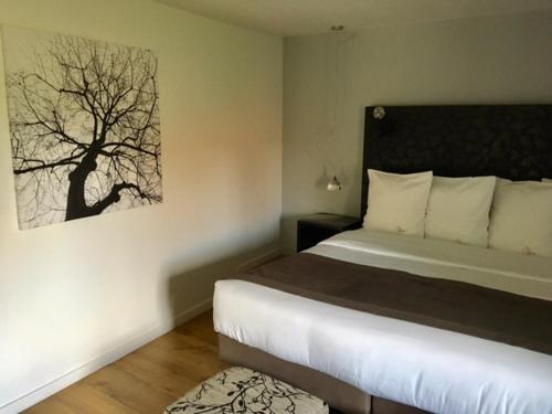 Casa9 Hôtel - Best Hotels in Ille-sur-Têt