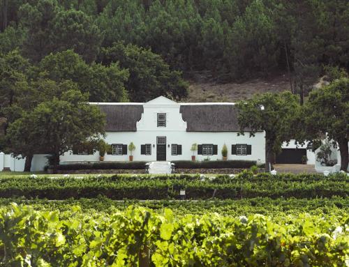 Rickety Bridge Estate - Best Hotels in Franschhoek