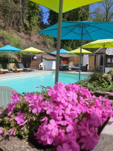 Villa Rosa Trois Epis - Best Hotels in Alsace