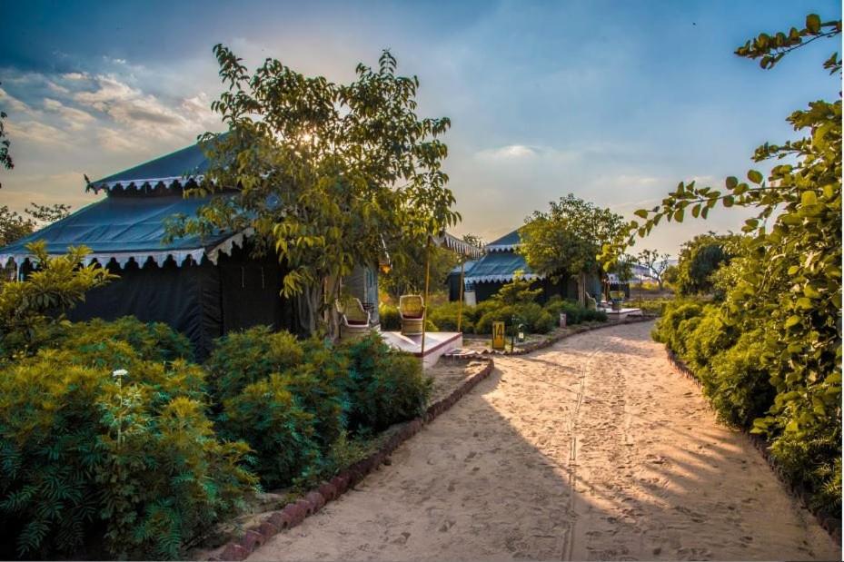 Orchard Tents & Tranquility - Best Hotels in Pushkar