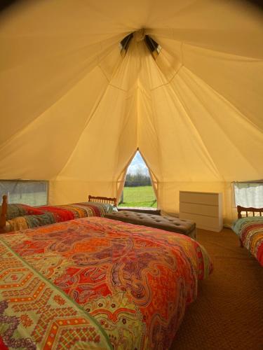 Loire Valley Llama Farm Stay