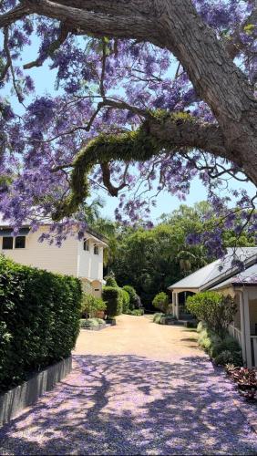 Bangalow Guesthouse - Best Hotels in Byron Bay