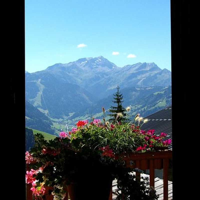 Hôtel La Ferme du Chozal, Chalet de tradition