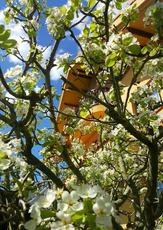 Posada Las Garzas - Best Hotels in Cantabria