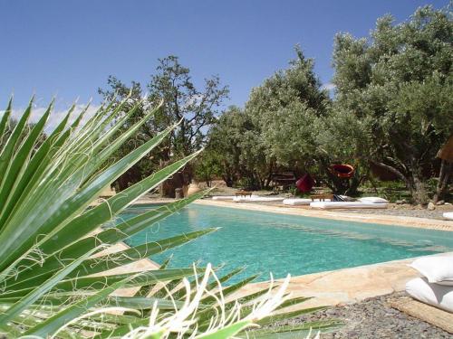 Les Jardins de Skoura - Affordable Hotels Morocco