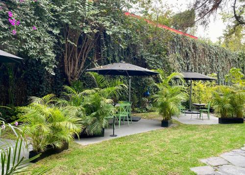 Pug Seal Polanco Anatole France