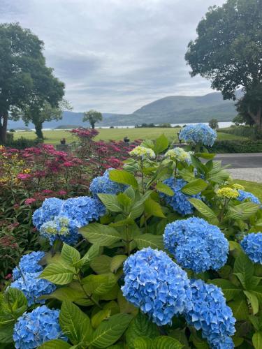 Loch Lein Country House