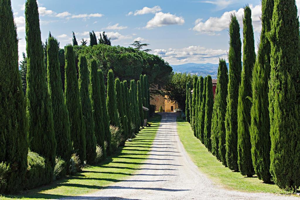 Al Gelso Bianco - Best Family Hotels in Tuscany