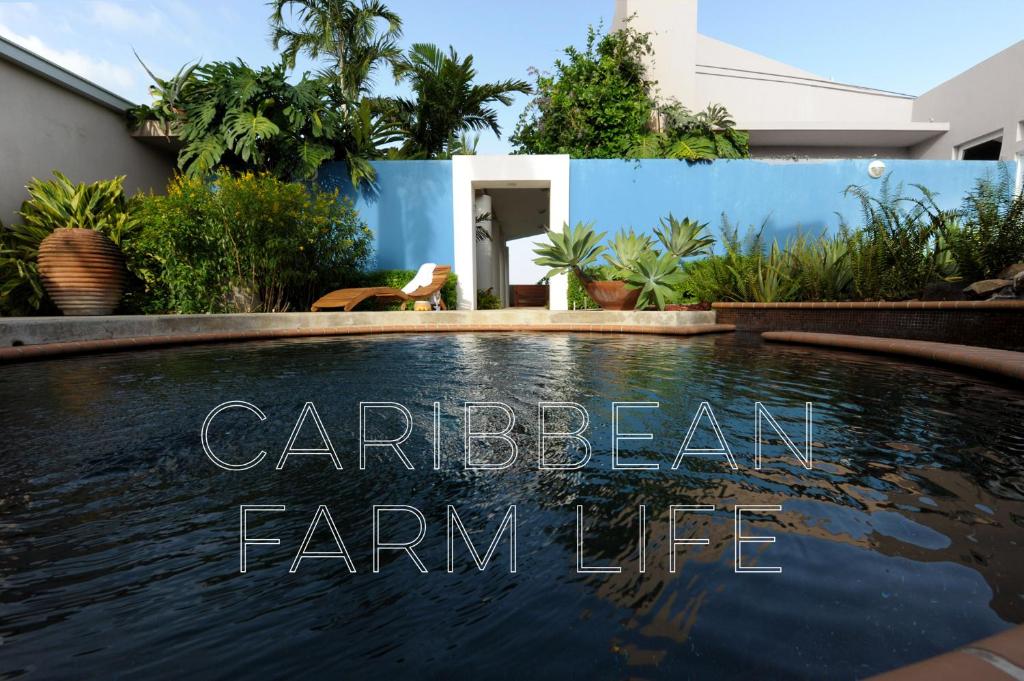 4 Casitas - Best Hotels in Puerto Rico