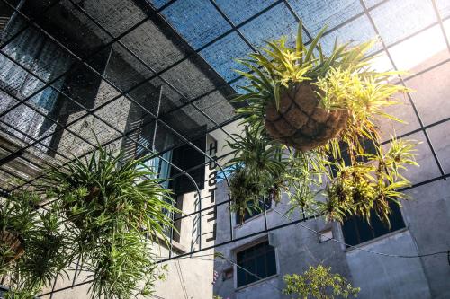 The Brownstone Hostel & Space