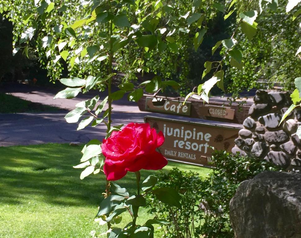 Junipine Resort - Best Hotels in Flagstaff, AZ