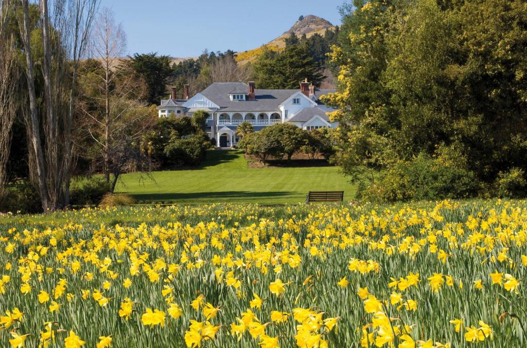 Otahuna Lodge - Best Luxury Hotels in South Island