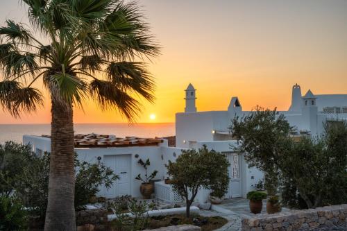 Anema Boutique Hotel & Villas Santorini