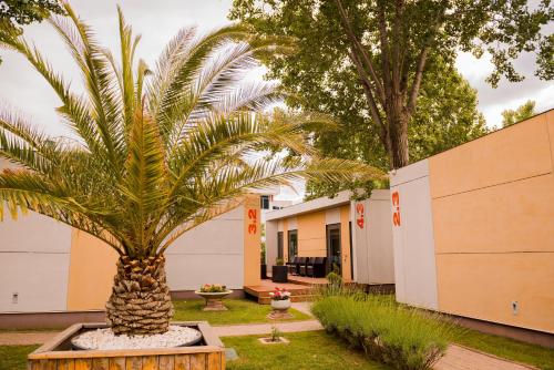 Enigma Resort - Best Family Hotels in Romania