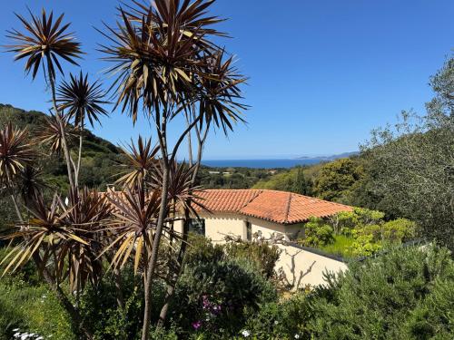 Le Ruone - Best Hotels in Corsica