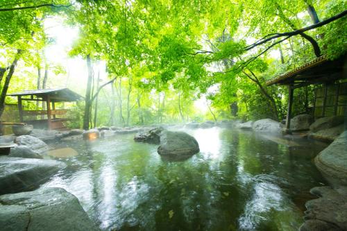 Nihon-no-Ashitaba