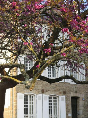 La Villa Garenne - Best Hotels in Vannes