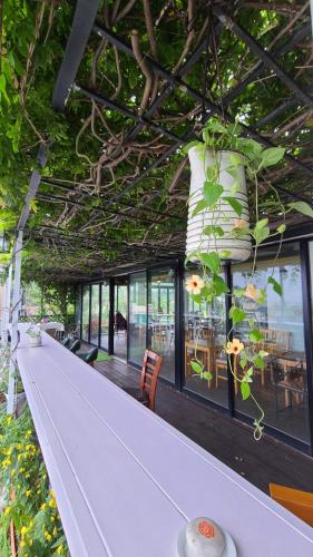 JEJU Doldam B&B