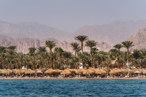 JAZ Fayrouz - Best Hilton Worldwide Hotels in Egypt